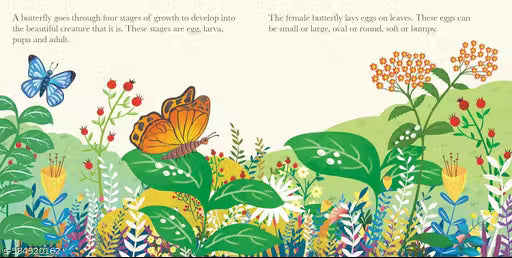 Board Book: Watch Me Grow! Butterfly- Activity Book for Children Age 3-5 Years