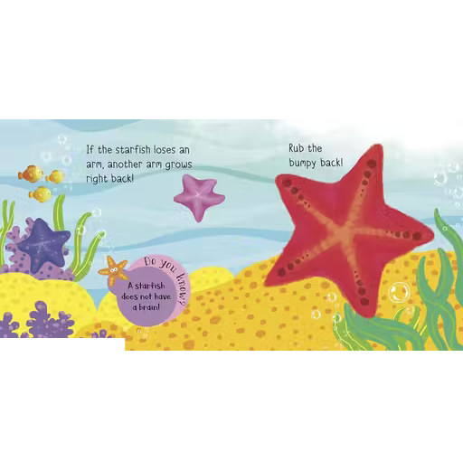 TOUCH AND FEEL SEA FRIENDS