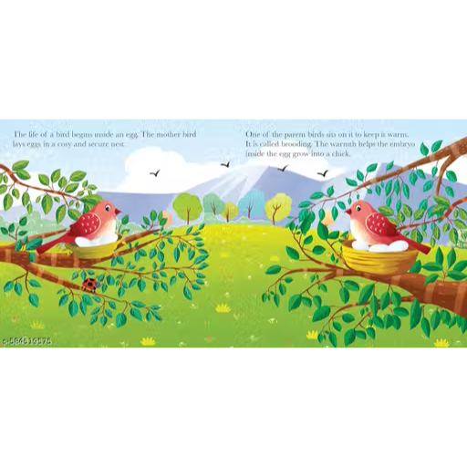 Board Book: Watch Me Grow! Bird- Activity Book for Children Age 3-5 Years