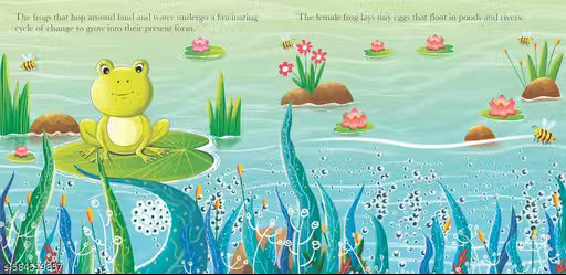 Board Book: Watch Me Grow! Frog- Activity Book for Children Age 3-5 Years