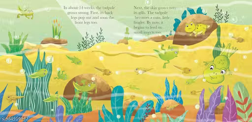 Board Book: Watch Me Grow! Frog- Activity Book for Children Age 3-5 Years