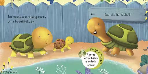 TOUCH AND FEEL PET PALS