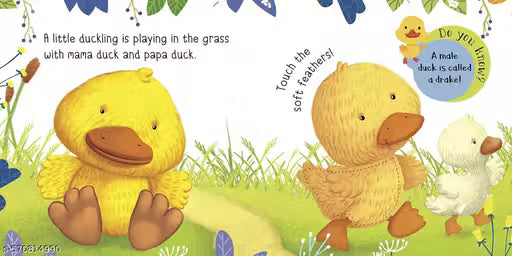 TOUCH AND FEEL BABY ANIMALS (gift for kids)